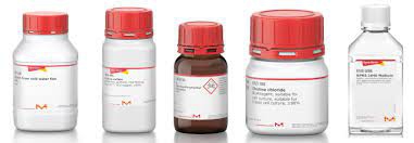 DMEM - WITH HIGH GLUCOSE, L-GLUTAMINE, SODIUM PYRUVATE, AND SODIUM BICARBONATE, LIQUID, STERILE-FILTERED