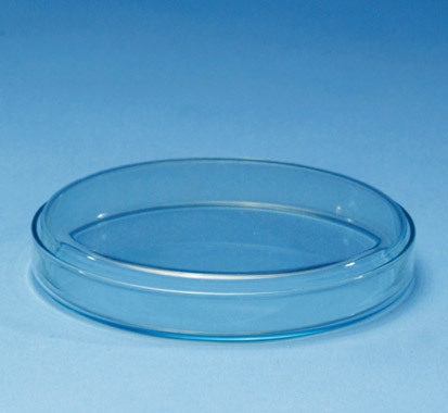 Petri kabı cam 120 mm