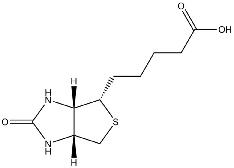 D-Biotin