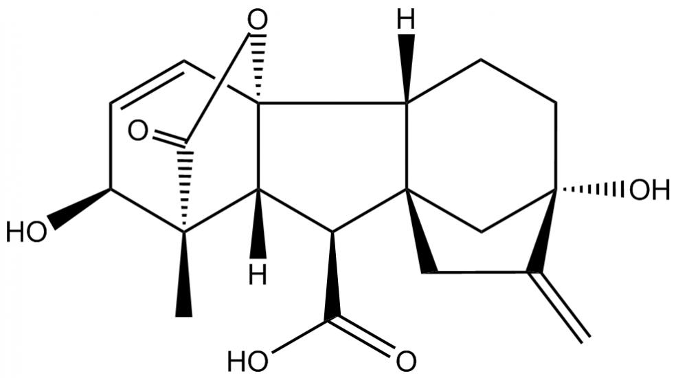 Gibberellic Acid