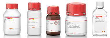 DMEM/NUTRIENT MIXTURE F-12 HAM - WITH 15 MM HEPES AND SODIUM BICARBONATE, WITHOUT L-GLUTAMINE, LIQUID, STERILE-FILTERED